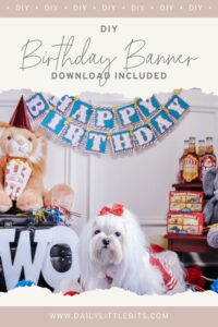 birthday banner diy photo thumbnail