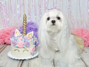 Aysia's 3rd Birthday