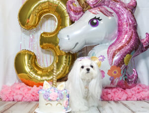 Aysia's 3rd Birthday