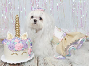 Aysia's 3rd Birthday