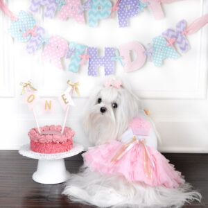 Toni Mari Cupcake Dress
