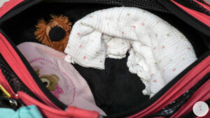 How I Travel- Sleepypod & Carrier-5