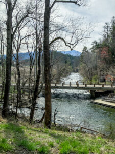 stream with bridge across it