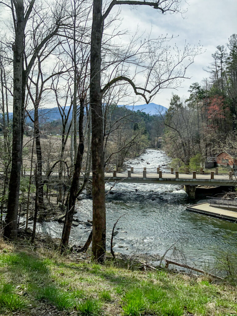 stream with bridge across it