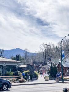 Gatlinburg town