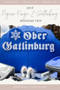 Pigeon Forge and Gatlinburg Thumbnail Photo